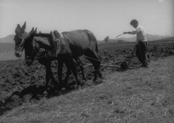 03 Il lavoro nei campi